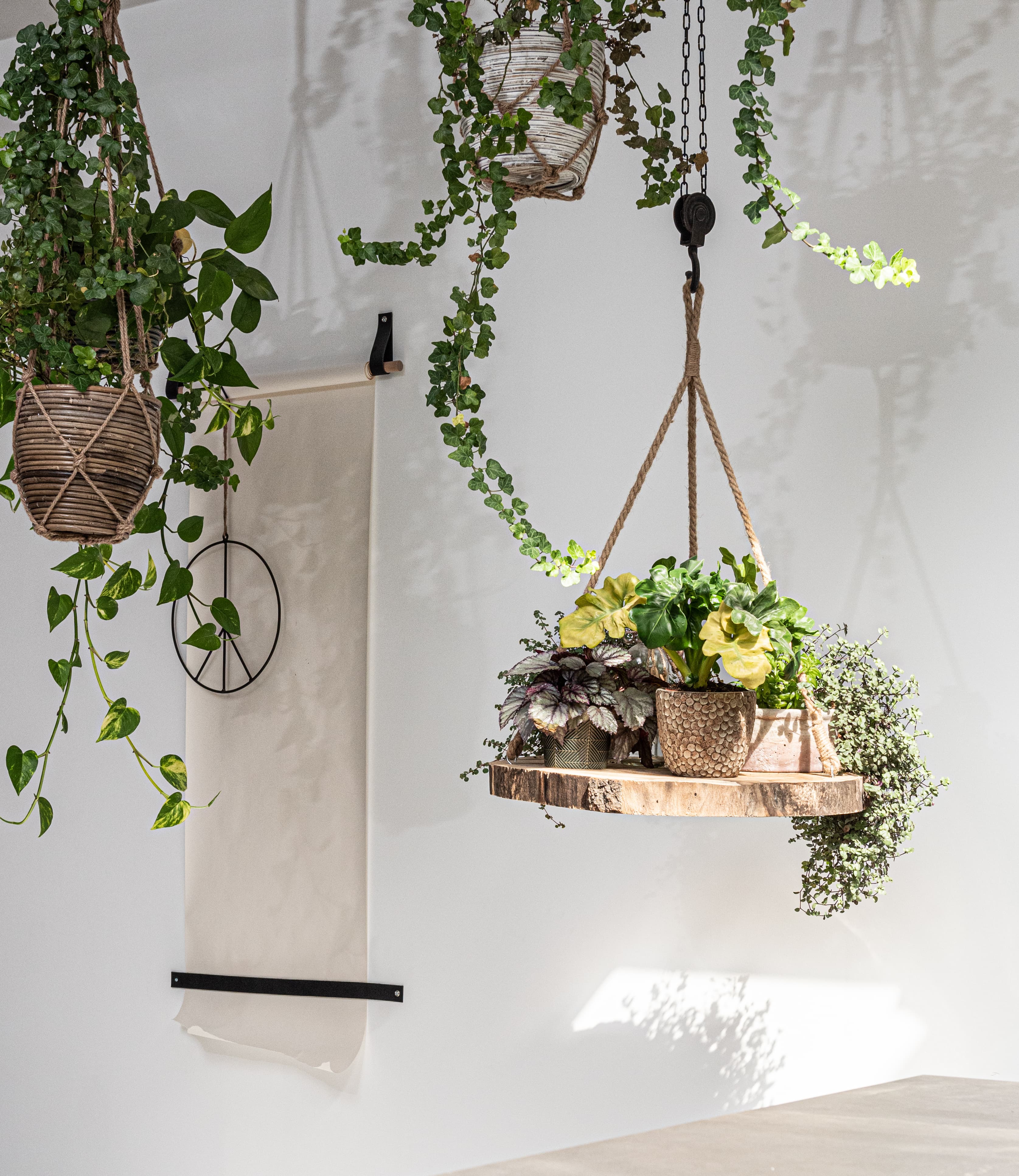 Hangende planten